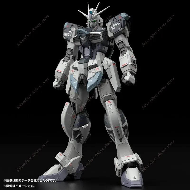 【Auf Lager】Bandai PB Limited R – Bandai Model Gundam Rg Bewertung und Preis